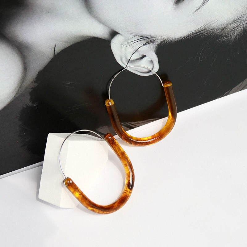 Illusionary Colorful Resin Round Hook Earrings