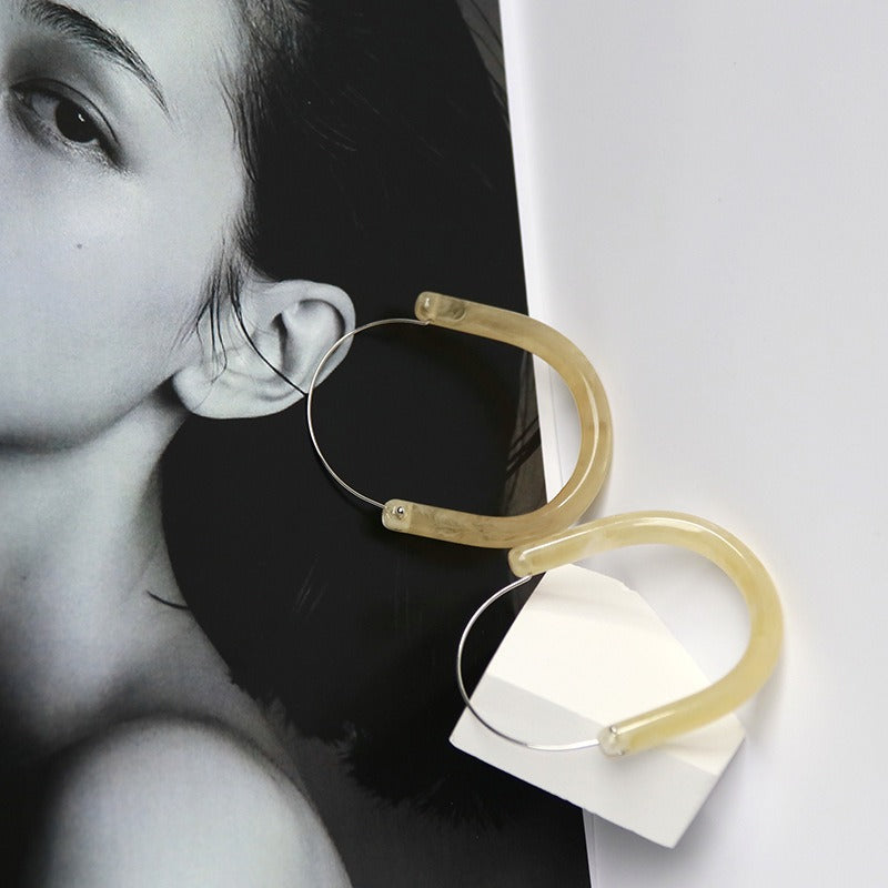 Illusionary Colorful Resin Round Hook Earrings