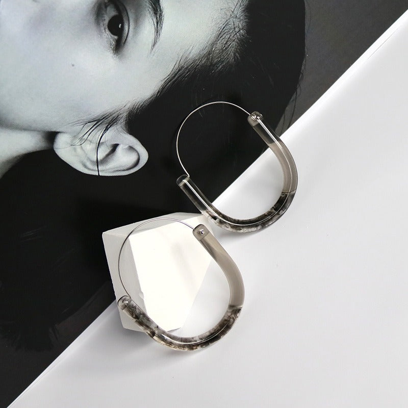 Illusionary Colorful Resin Round Hook Earrings