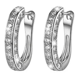 Magnetic Weight Loss Earrings