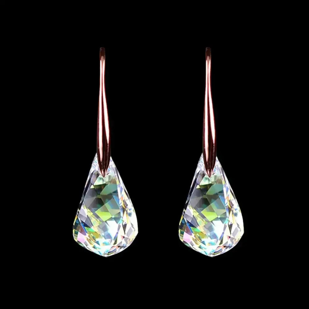 Magnetic Weight Loss Earrings