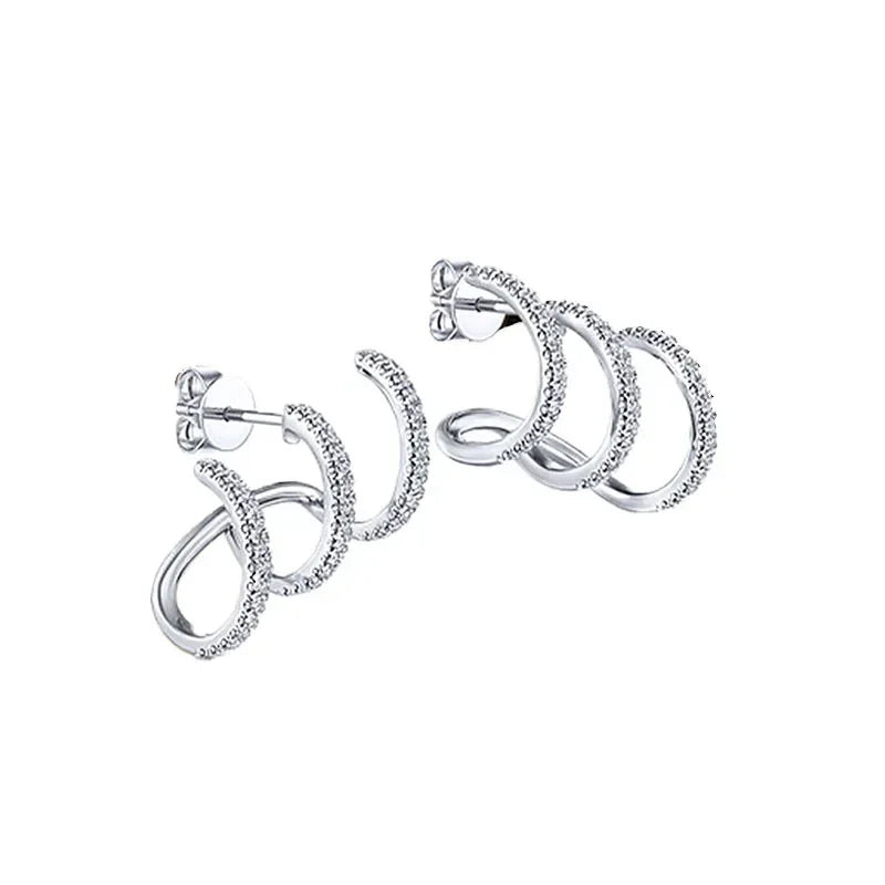 Magnetic Weight Loss Earrings