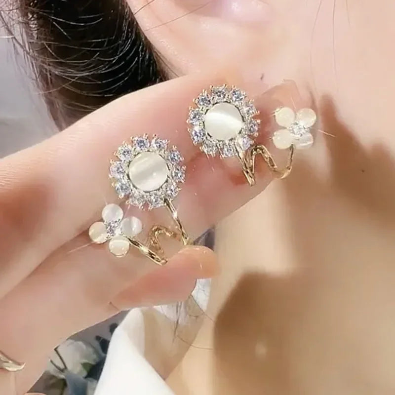 Magnetic Weight Loss Earrings