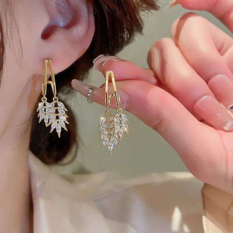 Magnetic Weight Loss Earrings