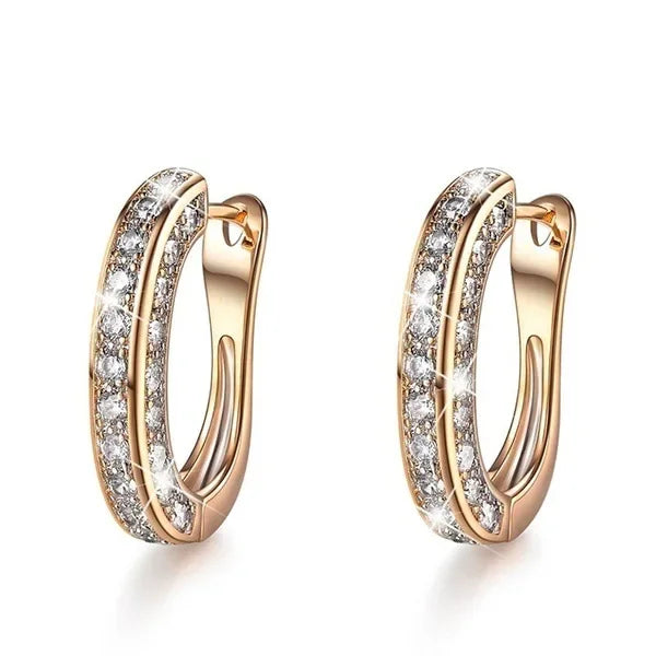 Magnetic Slimming Fat Loss Earrings