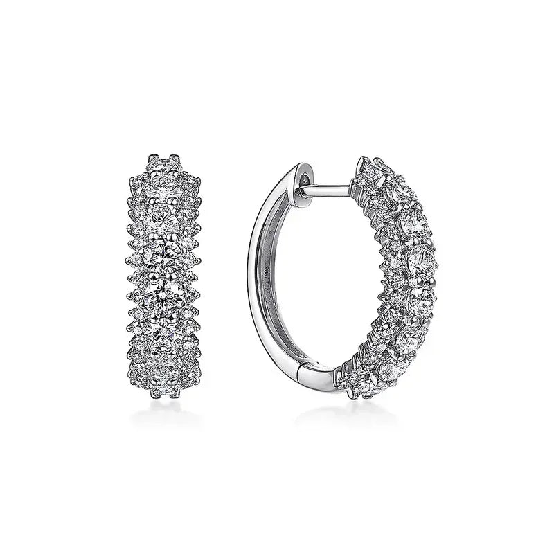 Magnetic Weight Loss Earrings