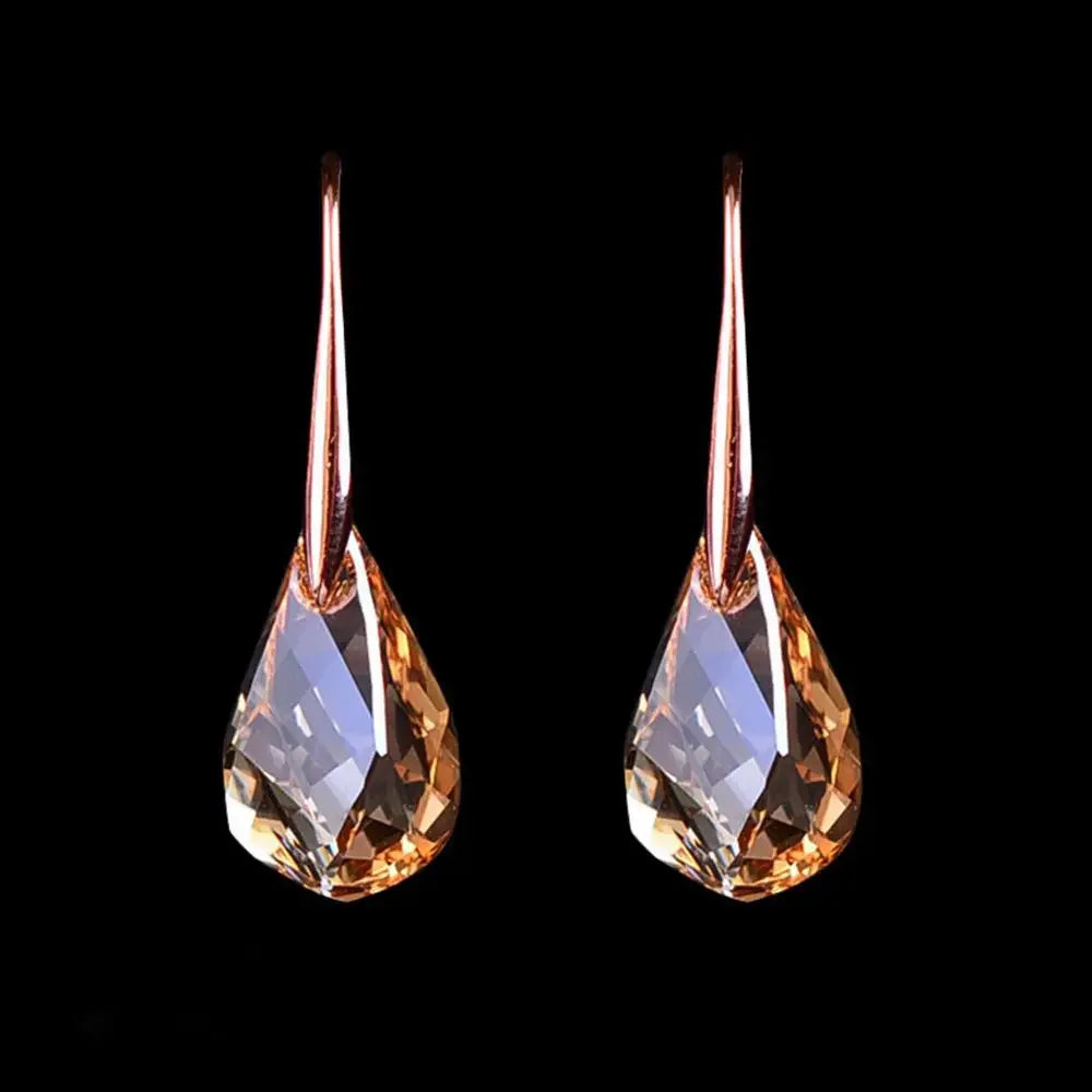 Magnetic Slimming Fat Loss Earrings