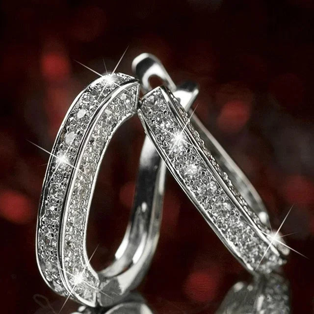 Magnetic Weight Loss Earrings
