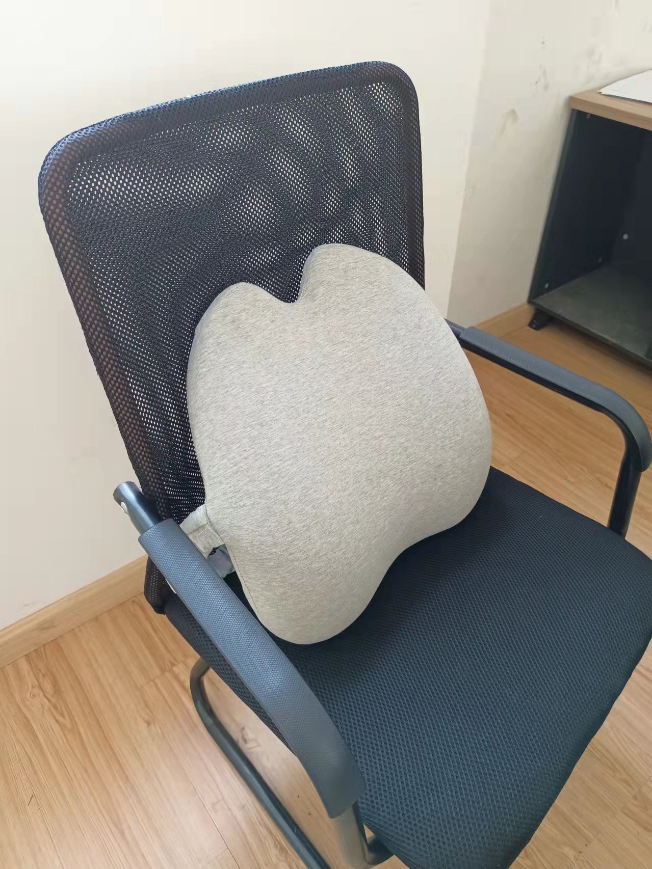 Lab Extra Dense Lumbar Pillow - Jasmind Stores