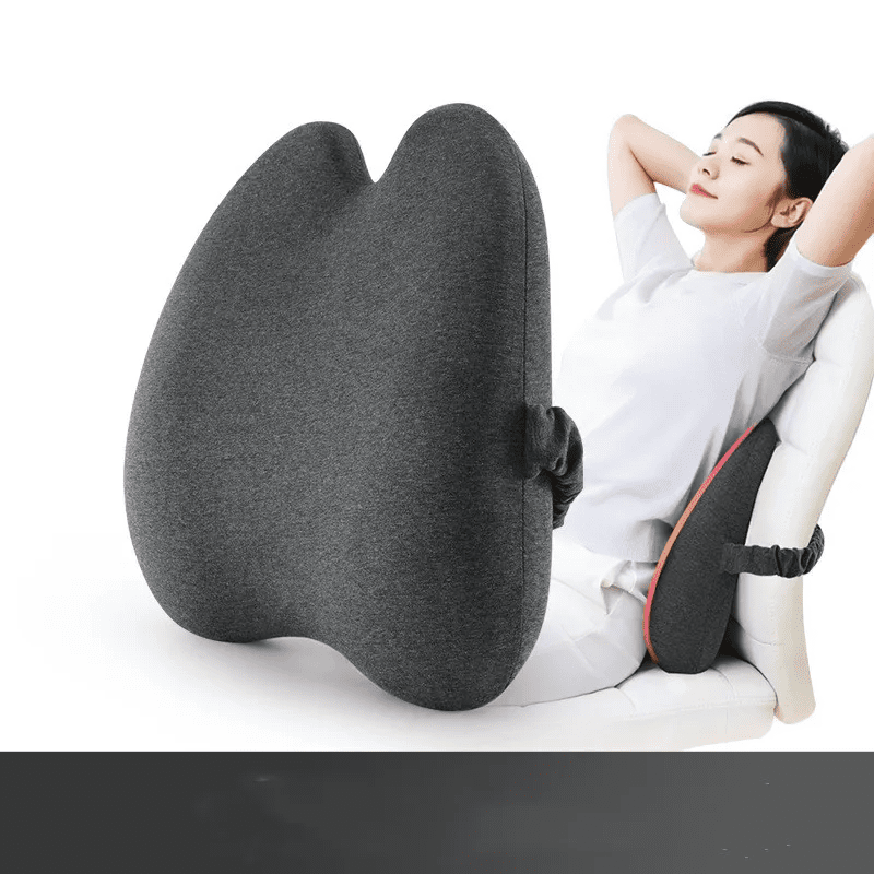 Lab Extra Dense Lumbar Pillow - Jasmind Stores